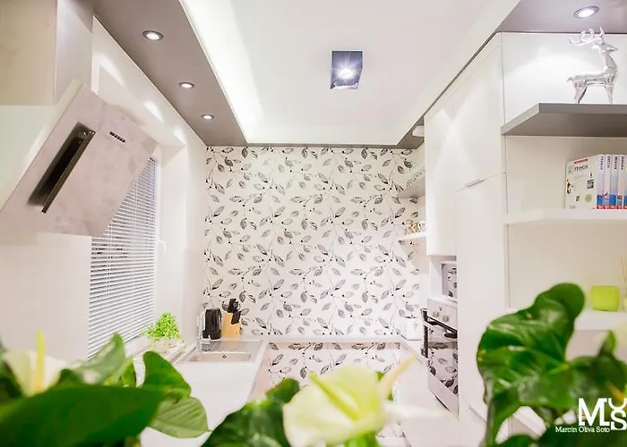 Mojito - Botanica Апартаменты Вроцлав