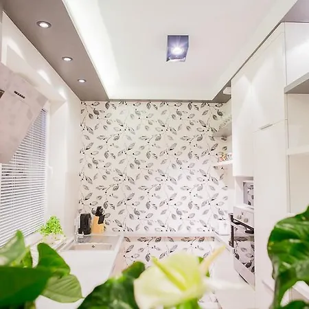 Mojito - Botanica Apartment Wroclaw