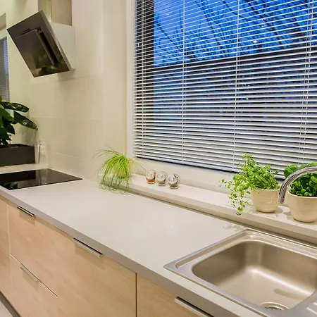 Mojito - Botanica Wrocław