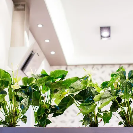 Mojito - Botanica Apartmán