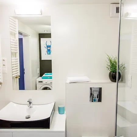 Mojito - Botanica Vratislav